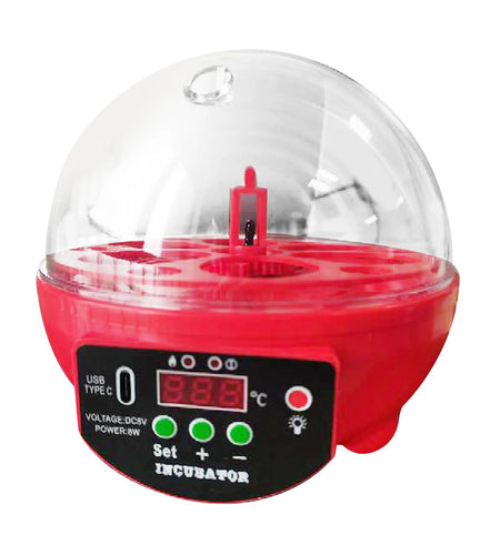 Automatic Digital Poultry Ing Machine, Automatic Egg Turner Temperature Control Small 6 Egg Incubator for Chicken Ducks Quail Red