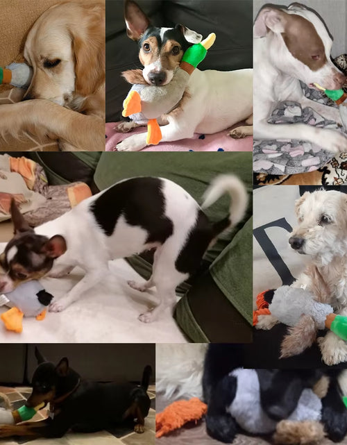 Load image into Gallery viewer, Cute Plush Duck Sound Pet Toys Stuffed Squeaky Animal Squeak Dog Toy Cleaning Tooth Dog Chew Rope Toys Pet Dog Accessories Toys
